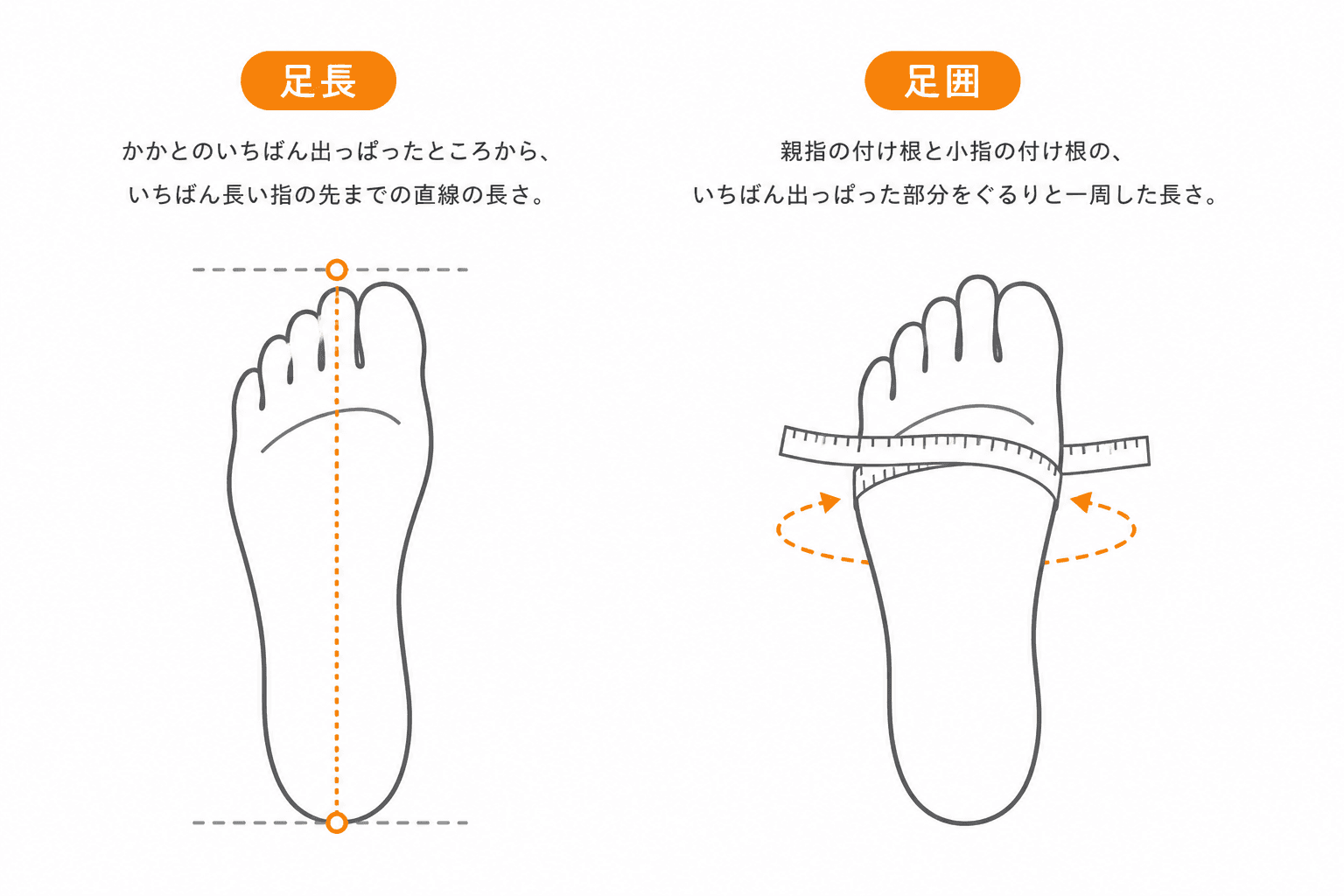 足長と足囲の測り方。足長はかかとから一番長い指の先までの直線、足囲は親指と小指の付け根を通る一周の長さ
